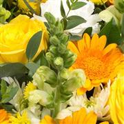 Florist Choice Basket Arrangement