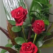 Trio of Roses